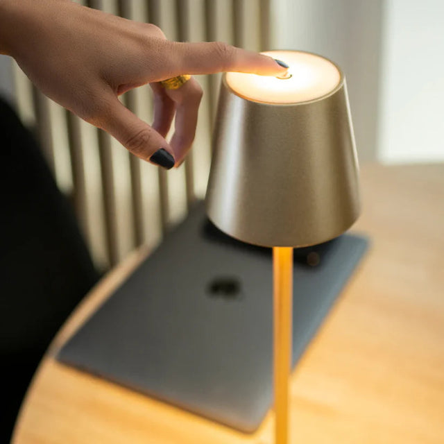 LW™ Lampshade Light