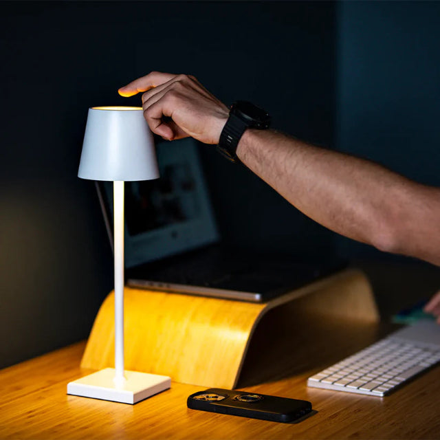 LW™ Lampshade Light