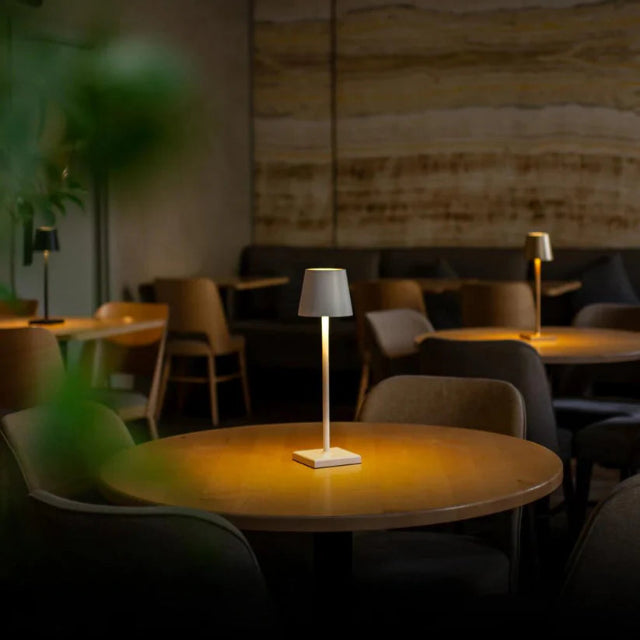 LW™ Lampshade Light