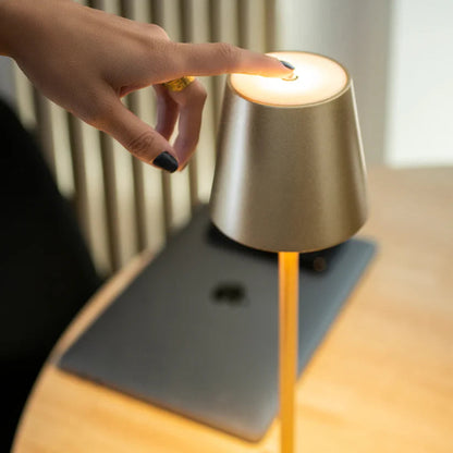 LW™ Lampshade Light